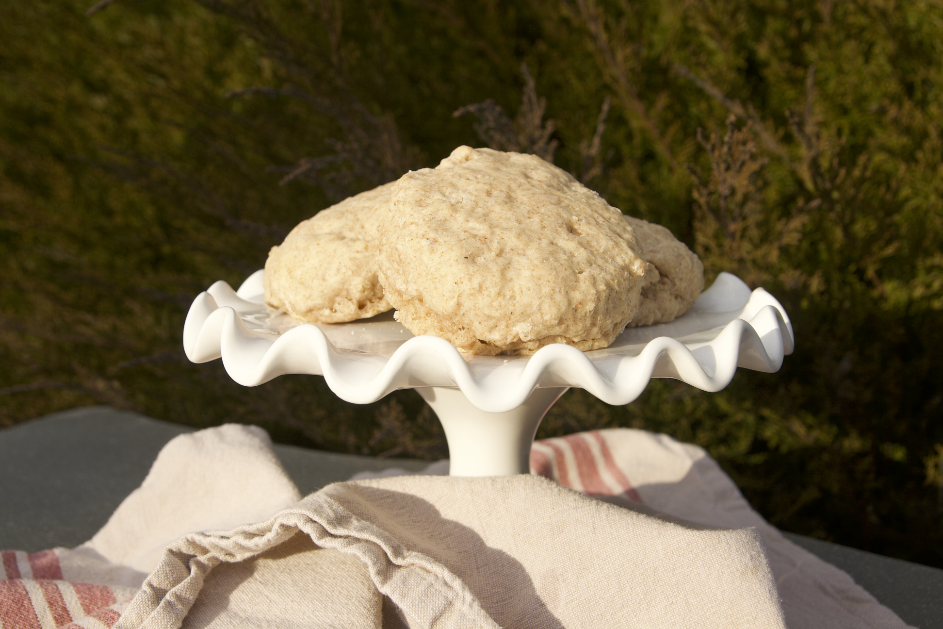 Crowd pleasing biscuits