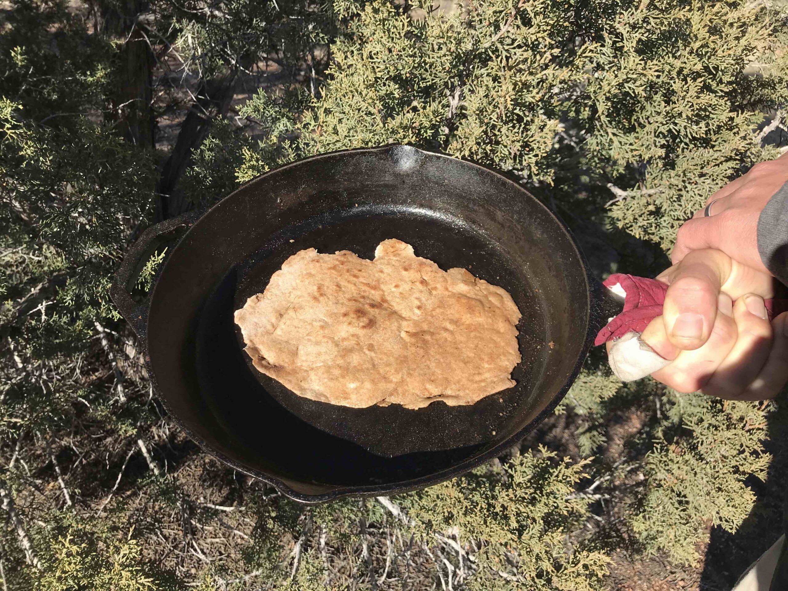 Whole wheat tortilla in skillet